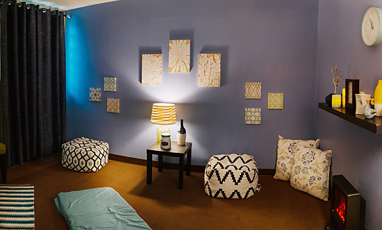 Our veterinary medical acupuncture suite features calm, relaxing colors, in a spa-like atmosphere