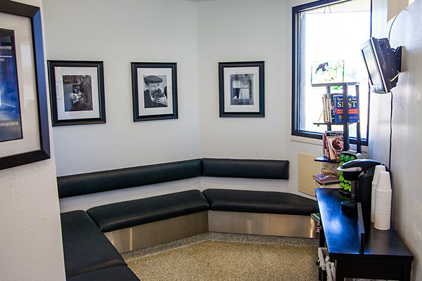 A quiet waiting room nook in the lobby area for our more timid patients