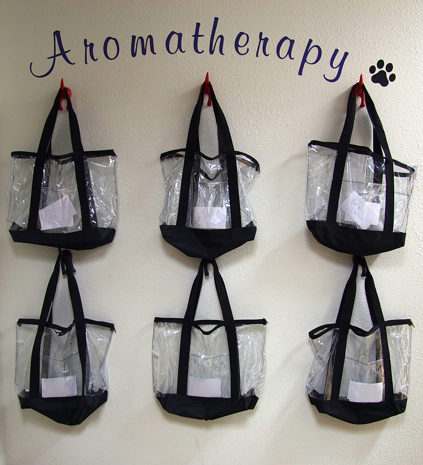 Rowlett Rockwall Dog Boarding Aromatherapy Wall